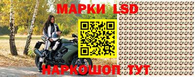 кокс Дмитров