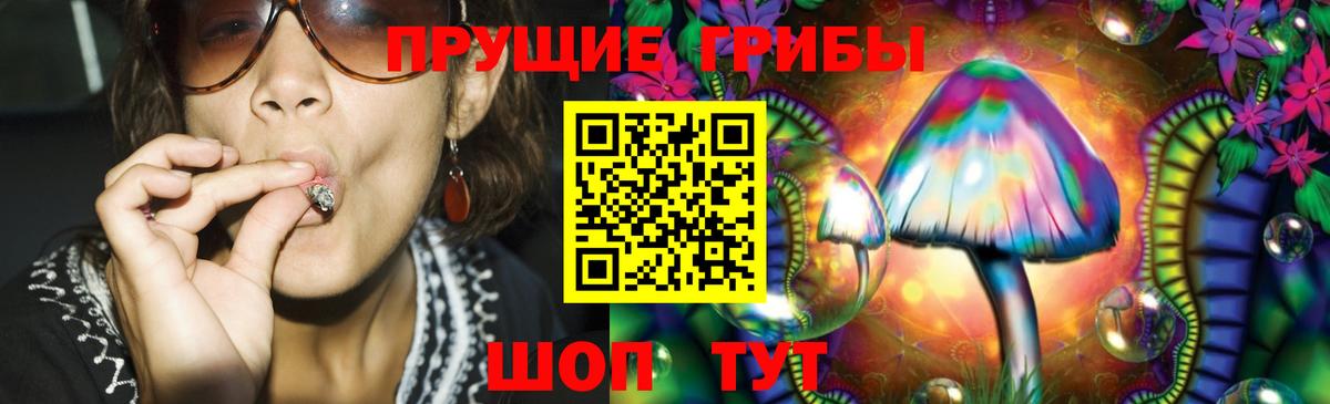 Псилоцибиновые грибы мицелий  Вход с VPN  Тихорецк  Псилоцибиновые грибы Cubensis 